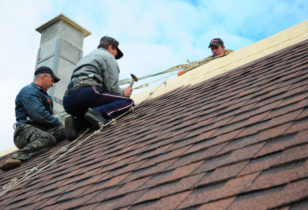 Best Roof Gutter Cleaning  in Hebron, KY